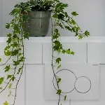 펜션 Rosse Z Sauna I Kominkiem Niedaleko Plazy Jastrzębia Góra