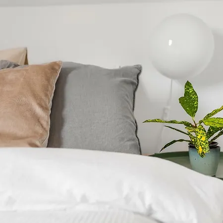 Rosse Niedaleko Plazy