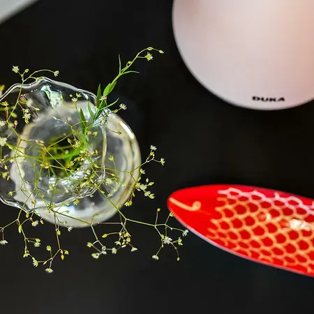 Rosse Niedaleko Plazy * Jastrzębia Góra