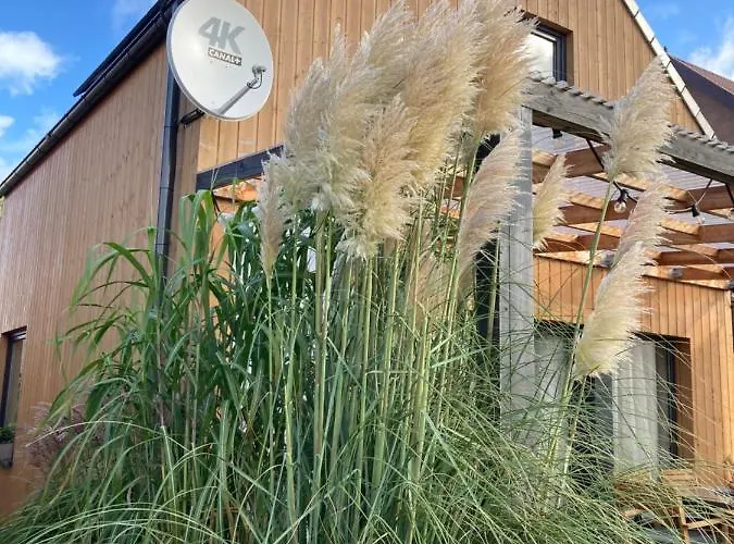 Rosse Niedaleko Plazy 度假居 *