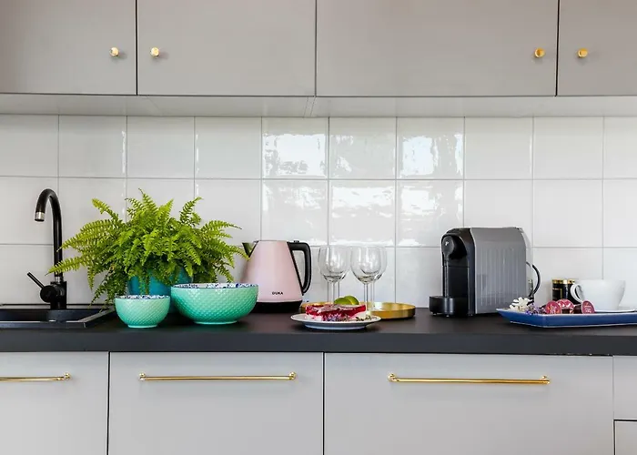 Rosse Niedaleko Plazy *