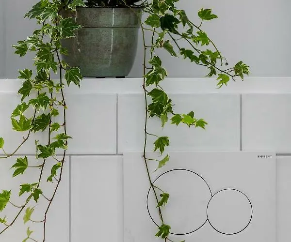 度假居 Rosse Niedaleko Plazy Jastrzębia Góra