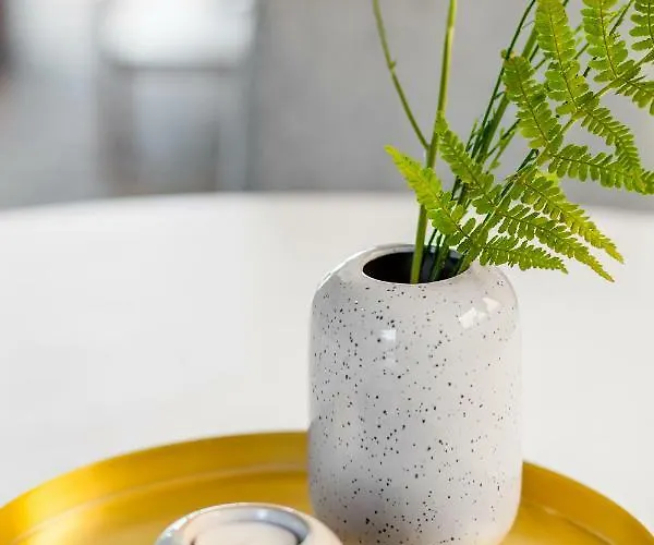 Rosse Niedaleko Plazy