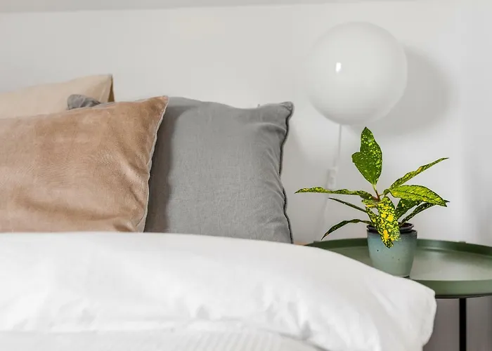 Rosse Niedaleko Plazy