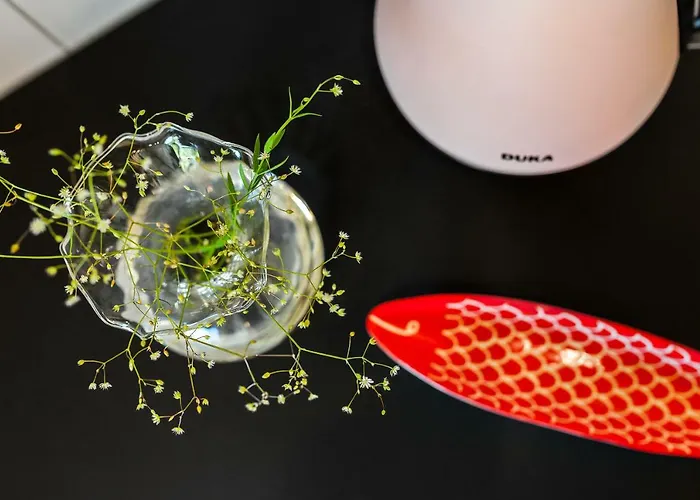 Rosse Niedaleko Plazy * Jastrzębia Góra